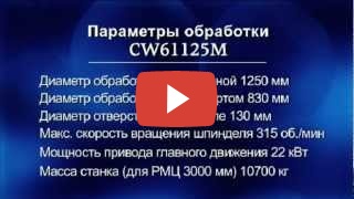 DMTG CW61100M/3000 миниатюра №2